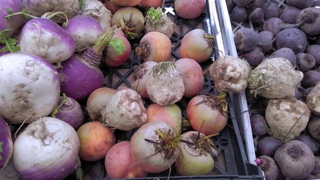 A selection of organically grown root vegetables at the farmers market