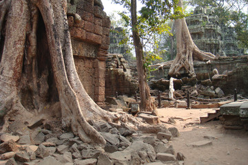 Buddhist temple. Angkor Tom. Cambodia
