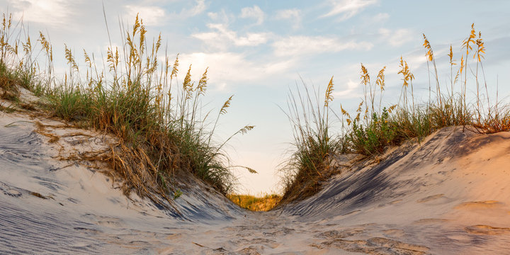 Sand Dunes Outer Banks 01