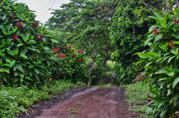 Galapagos Interior Island Road to Town