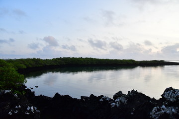 paisaje, Galápagos