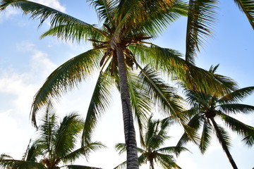 Fototapeta premium paisaje, Galápagos