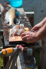 Man hands cutting fresh pike fish into slices. Healthy food, nutrition