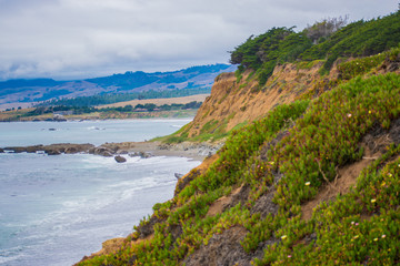 Fototapeta premium coast of the sea