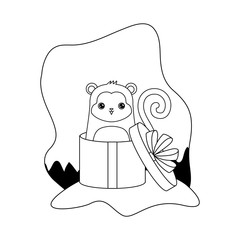 cute monkey animal in gift box