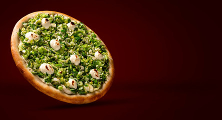 Pizza leek and cream cheese on red background. Top view, close up. Traditional Brazilian Pizza