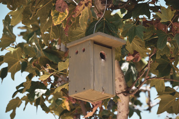 Birdhouse 