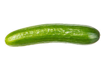 Single bright green cucumber