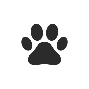 Paw Print icon template black color editable. Paw Print symbol Flat vector sign isolated on white background. Simple logo vector illustration for graphic and web design.