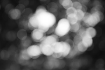 Obraz premium White and Silver lights on bokeh abstract background.