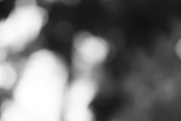 White and Silver lights on bokeh abstract background.