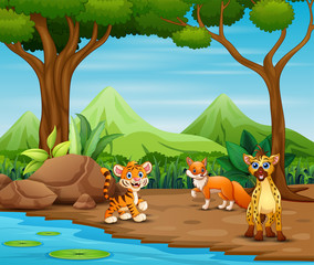 Wild animals cartoon living in the forest