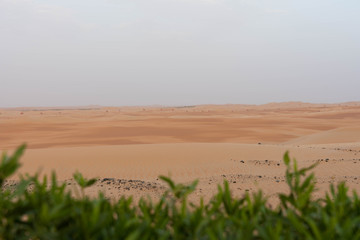 Arabische Sandwüste
