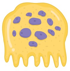 Inside the bone - osteoclast cell
