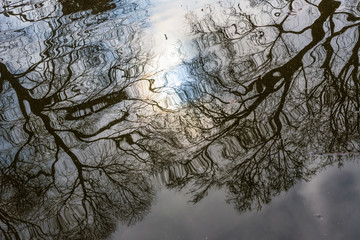 Street and architectural sketches. Seville. Andalusia. Spain