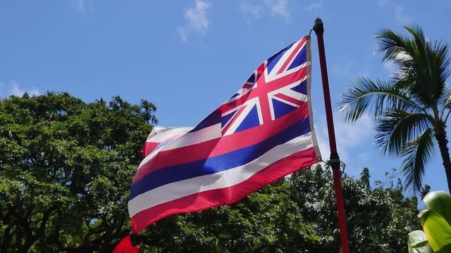 アメリカ合衆国ハワイ州の州旗
