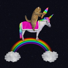 The cat with an ice cream cone is riding the unicorn on the rainbow between two clouds at night. Stars background. © iridi66