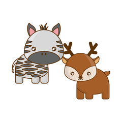 cute zebra with reindeer animals