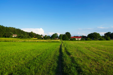 Ländliche Sommerlandschaft in Süddeutschland während der golenden Stunde