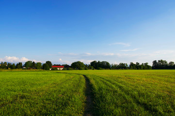 Ländliche Sommerlandschaft in Süddeutschland während der golenden Stunde