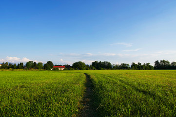 Ländliche Sommerlandschaft in Süddeutschland während der golenden Stunde