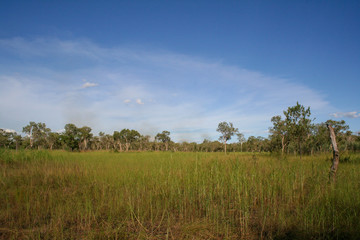 Grasslands under blue sky in Western Australia Outback