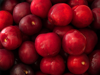 fresh and juicy fruit