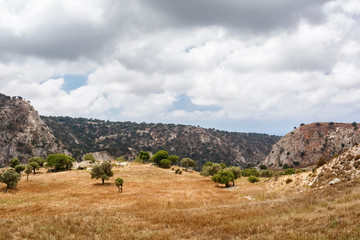 Highland valley of Cyprus