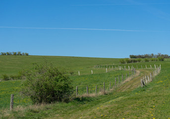 Fototapeta na wymiar Agriculture path with fences and cloudless sky
