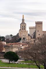 Fototapeta premium Avignon, in the region of Provence, France. Historic fortified city famous for the Palace of the Popes, it is crossed by the Rhone river.