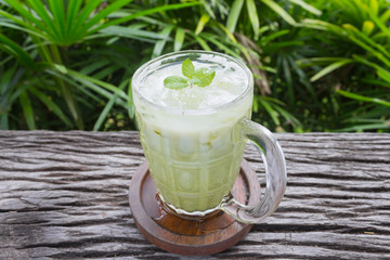 Cold Green Tea Milk Beverage or Cold Drinks on Tree Background Center Frame Normal View