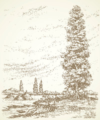 Poplar on a hill above the river. Vector drawing