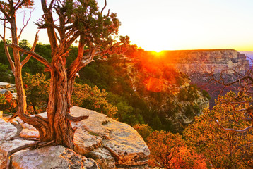 The beautiful view of Grand Canyon from the south rim of Grand Canyon National Park at sunset.