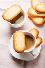 Italian traditional cookies Cat tongues