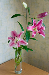 Tender big pink flowers of lily is standing in the glasses vase on the table in the room with light color walls