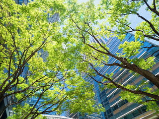 東京ミッドタウン