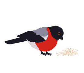Bullfinch pecks grain on a white background. Cartoon. Vector illustration.