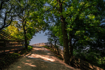 Waldweg