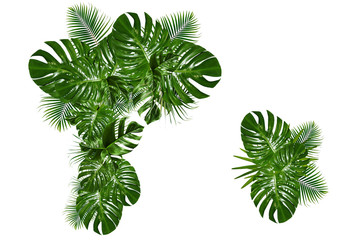 Tropical green leaf frame ,tropical leaf garland on white background