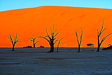 ナミブ砂漠　Deadvlei　Namibia