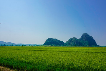 Fototapeta premium Mountains and green fields