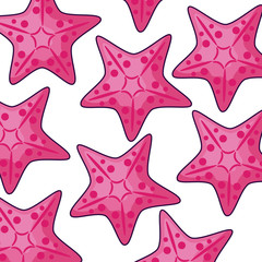 Obraz premium pattern tropical of starfish animals
