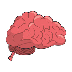Human brain intelligence symbol isolated