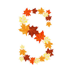 Fototapeta premium Autumn Maples Leaves Letter