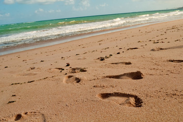 footprints on the beach