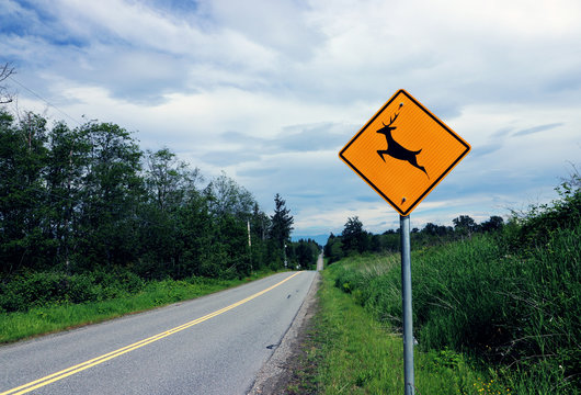 Deer Crossing sign on rural road on a cloudy day in Surrey, BC Canada.