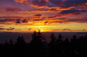 Beautiful view of a vibrant orange sunset in White Rock, BC Canada, overlooking the ocean and with silhouette of trees in foreground.