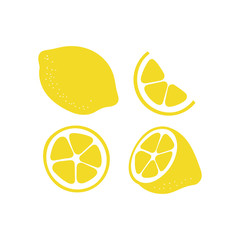 Lemon set of hand drawn fruit shapes isolated on white background. Nature organic vector illustration. Food graphic design.