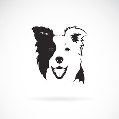 Vector of a border collie dog on white background. Pet. Animal. Dog logo or icon.