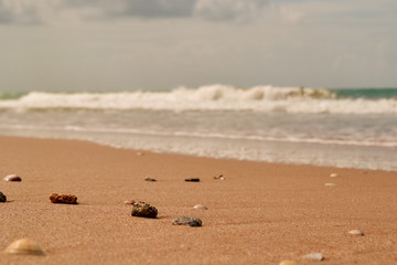 Fototapeta na wymiar Caracoles en la playa 